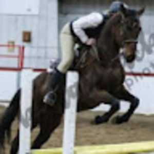 Meet your Posher, Miki